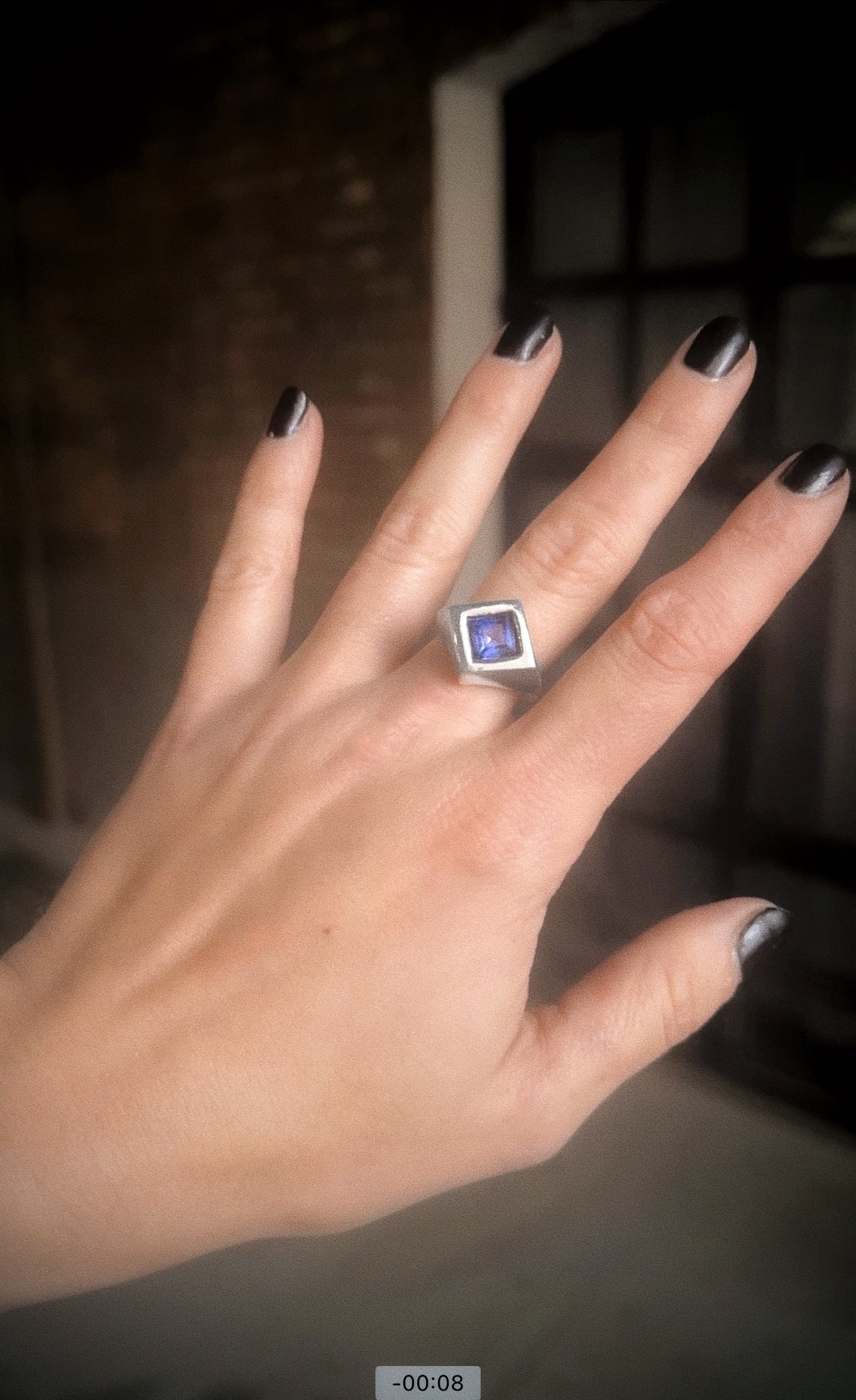 Ruby Shield Signet Ring