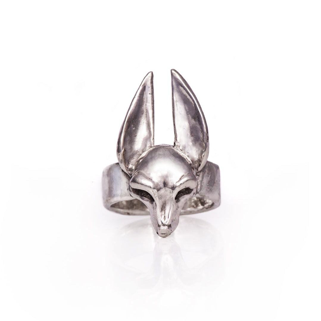 The Guardian Ring