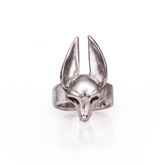 The Guardian Ring