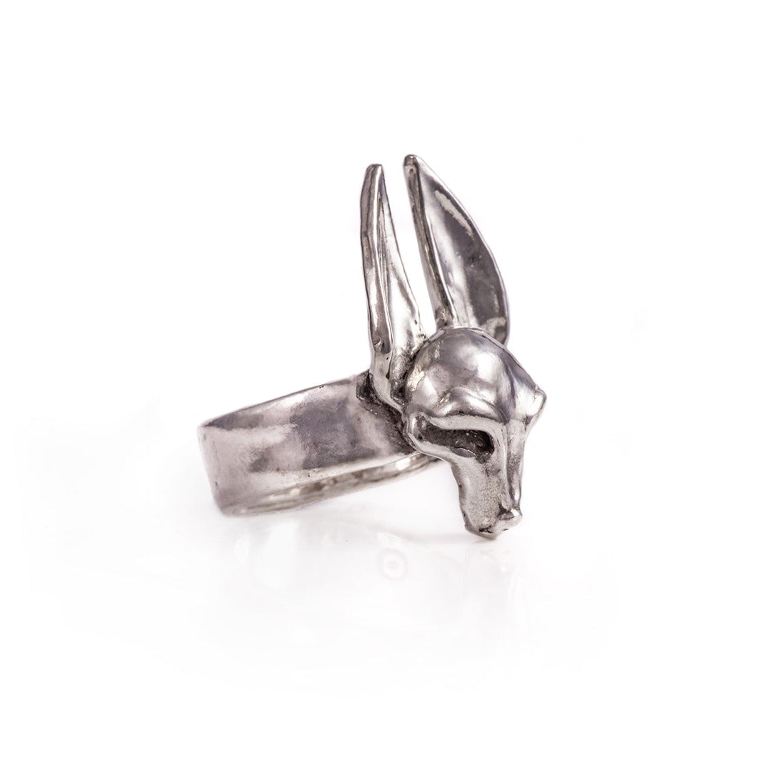The Guardian Ring