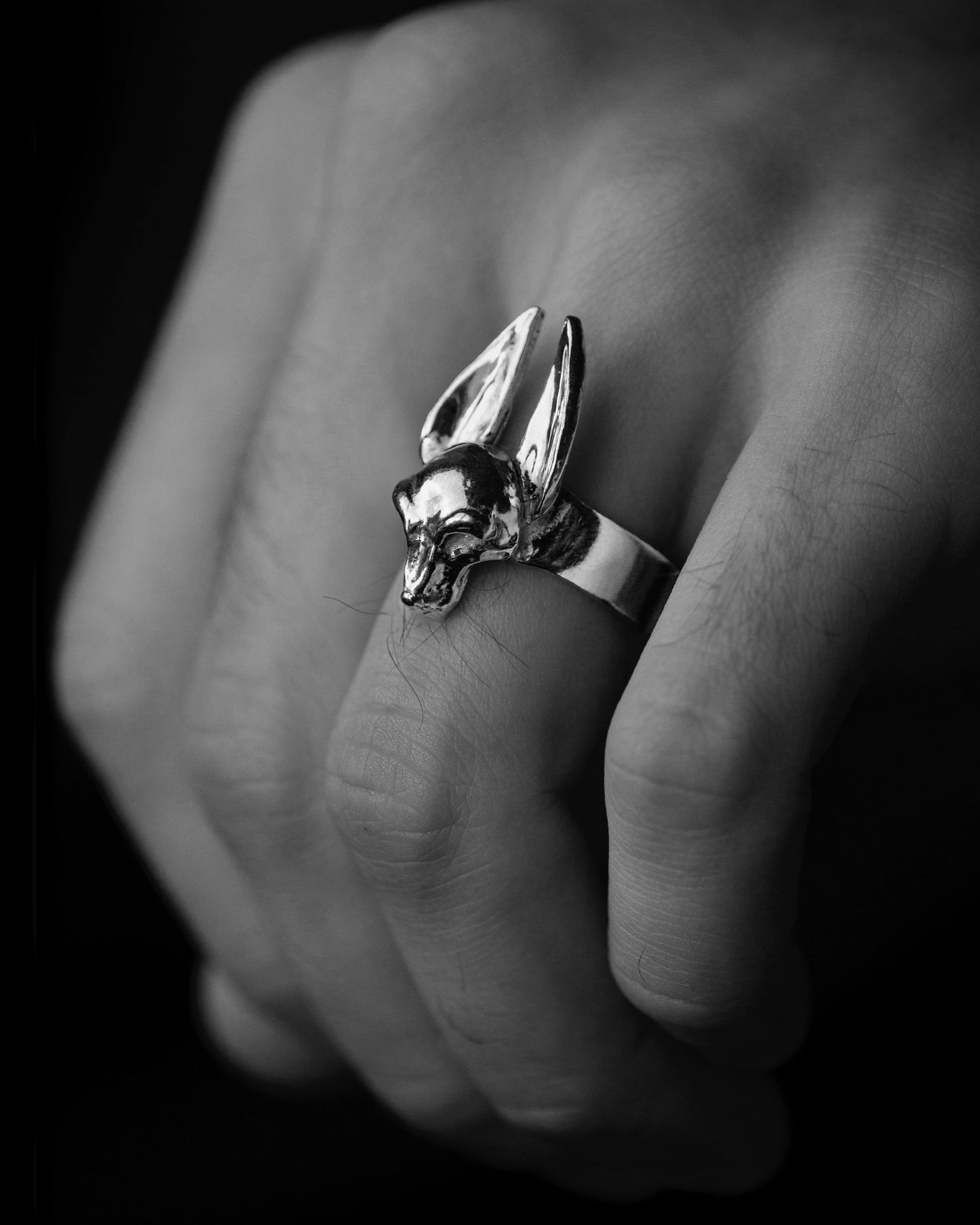 The Guardian Ring