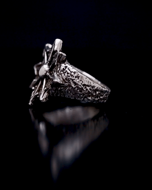 Chaos Star Ring